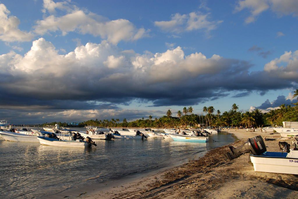 bayahibe harbor