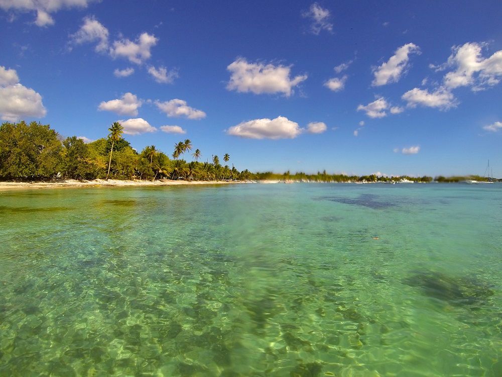 beach in bayahibe