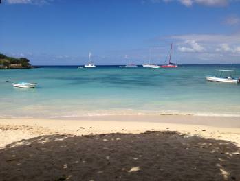 summer in bayahibe