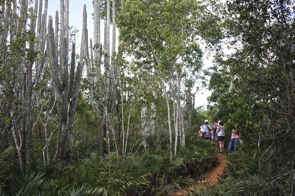 national park of the east